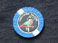 Chip