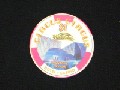 Chip